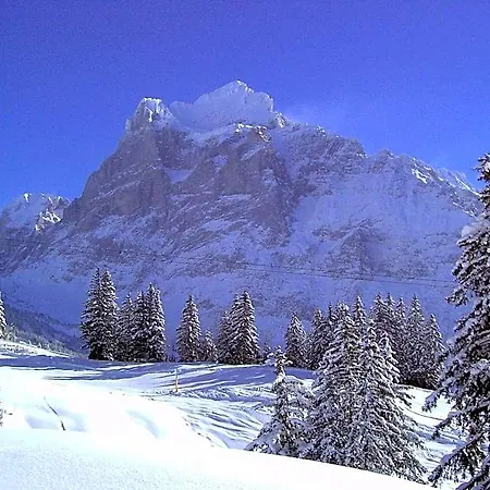 Alte Post Han/Misafirhane Grindelwald