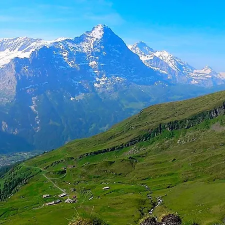 Alte Post Han/Misafirhane Grindelwald